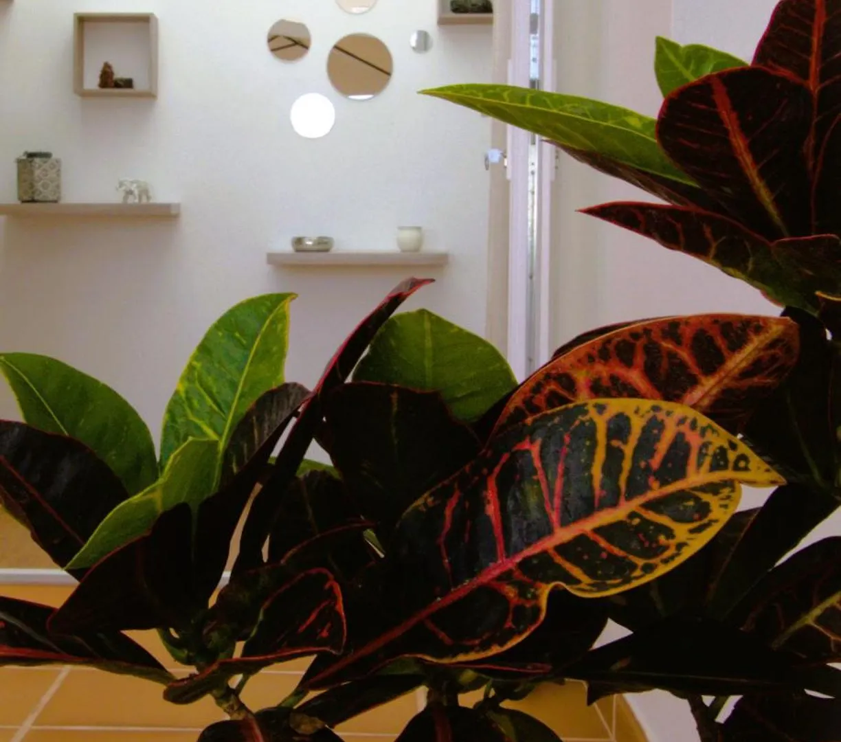 Casa Ita Villa Tias Holiday home